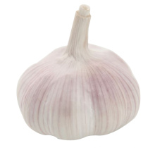 import Chinese fresh natural garlic pack of 3 pieces